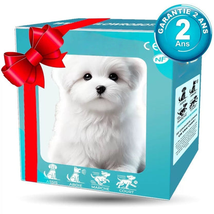 【Soulmate】🔥AI Robot Puppy🐕‍🦺 – 30 Years of Craftsmanship, Built to Love & Learn❤️
