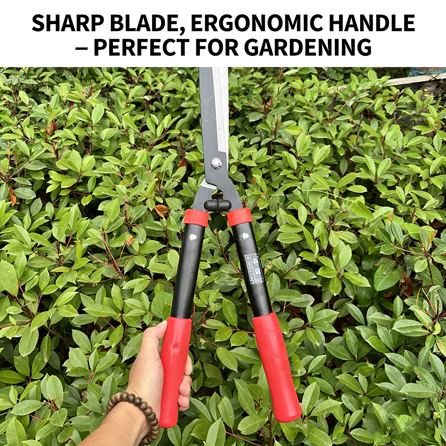 🔥50% OFF🔥 360° Rotating Lawn Shears Manual Grass Trimmer for Garden Lawn Border Edging