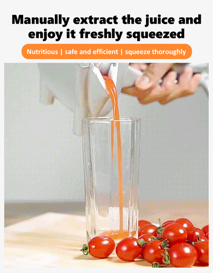 【Buy 1 Get 1 Free】304 Stainless Steel Manual Juicer - 360° Pressing, Pure Juice, No Waste💪🍹